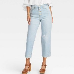 Universal Thread High Rise Vintage Straight Jeans
